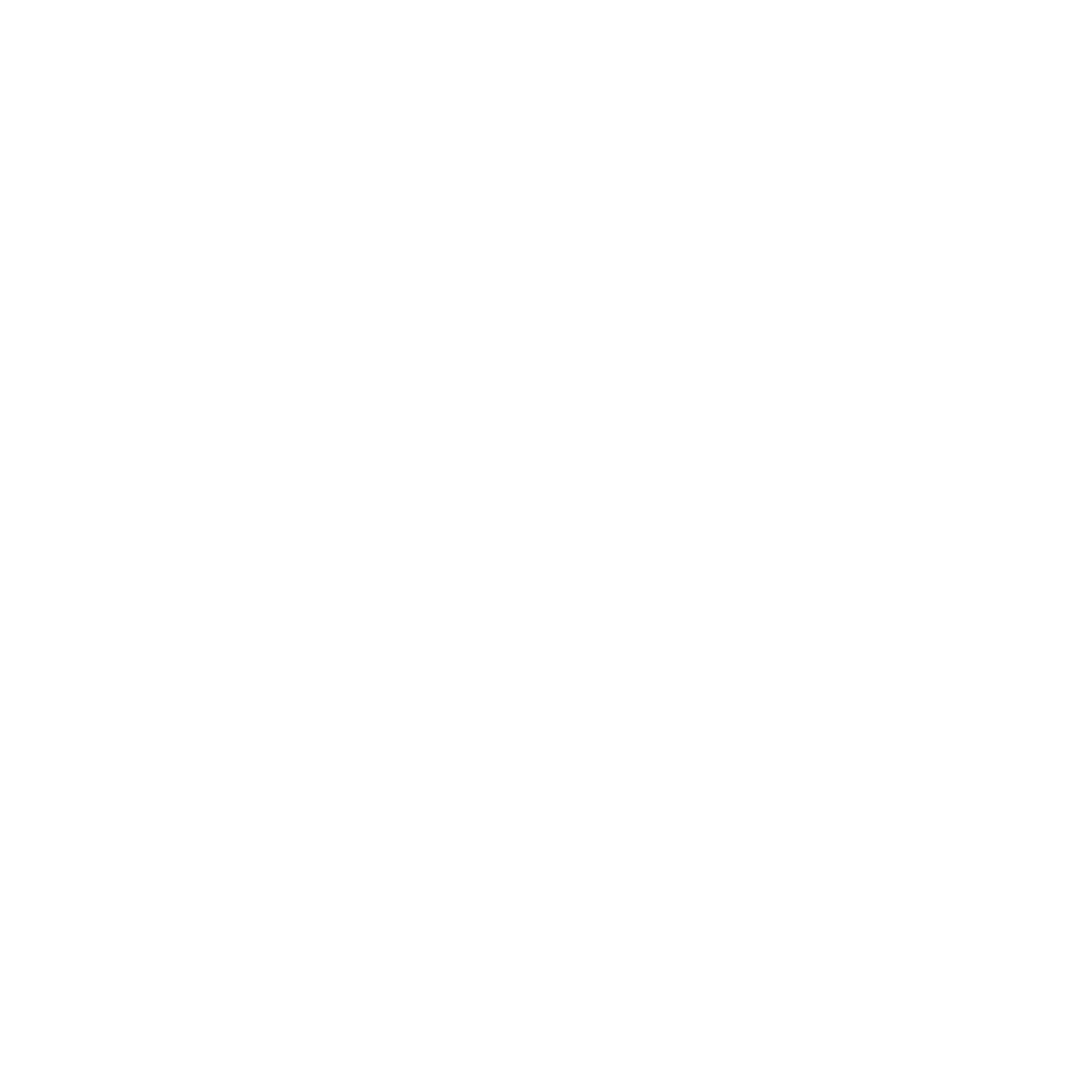 Nava Auto Store logo